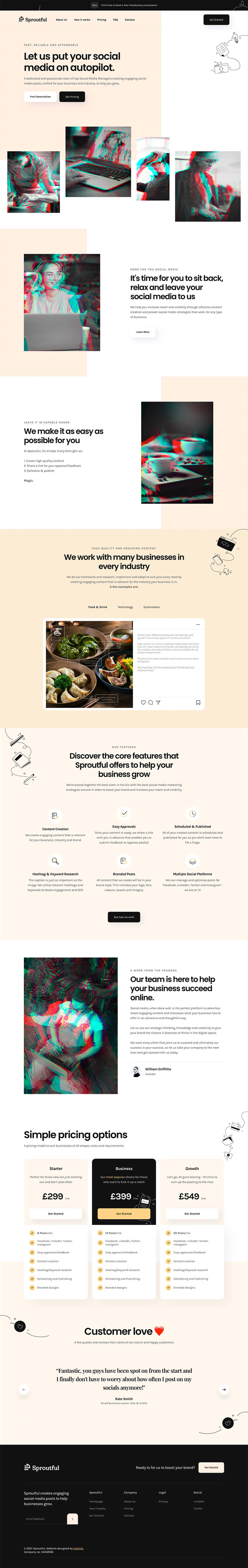 Sproutful Productized Social Media Service Example